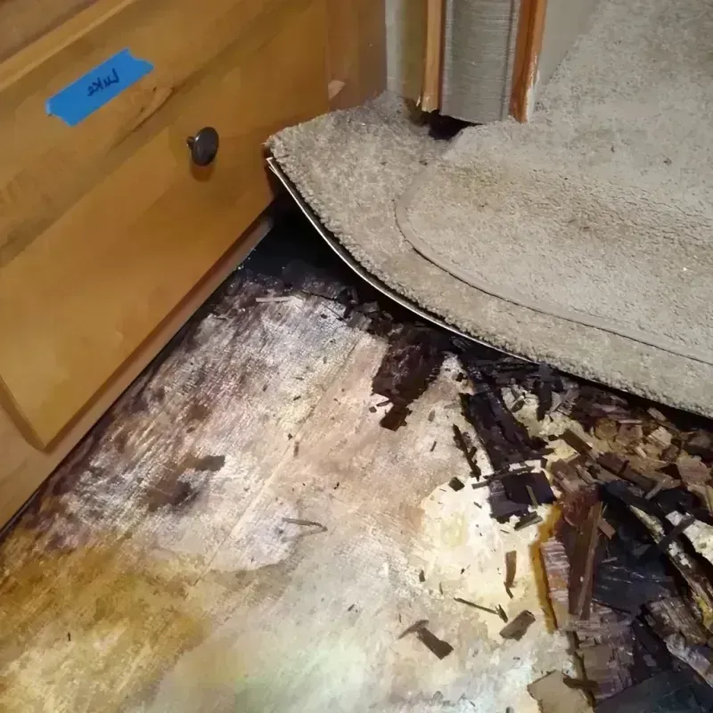 Wood Floor Water Damage in Catlin, IL